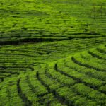 Best Domestic Travel Agency in Hyderabad​