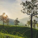 Travel Company in Hyderabad, holiday packages from Hyderabad